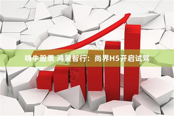 嗨牛股票 鸿蒙智行：尚界H5开启试驾