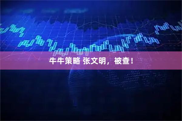 牛牛策略 张文明，被查！