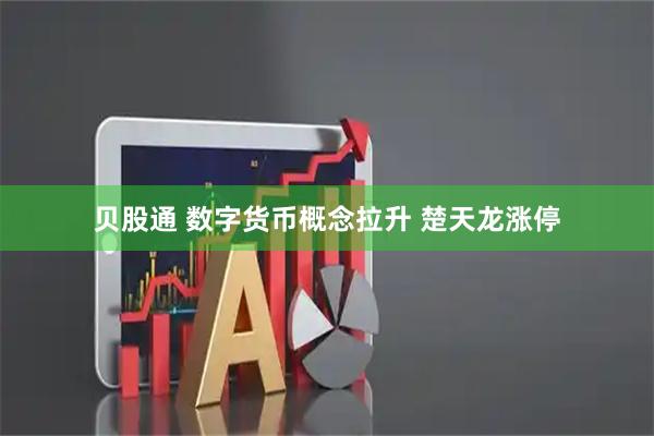 贝股通 数字货币概念拉升 楚天龙涨停