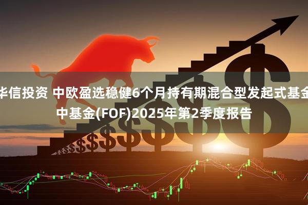 华信投资 中欧盈选稳健6个月持有期混合型发起式基金中基金(FOF)2025年第2季度报告